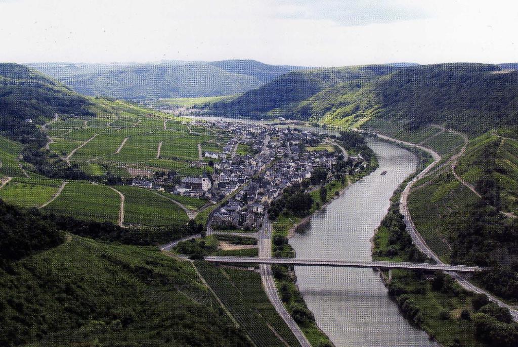 Moselwinzerhaus Apartman Bruttig-Fankel Kültér fotó